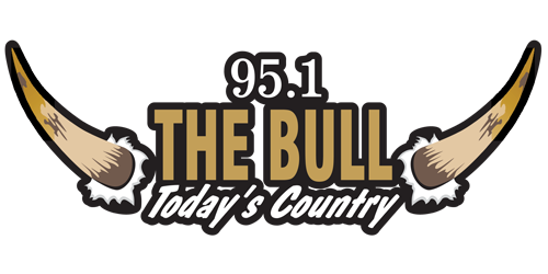 95-1-The-Bull